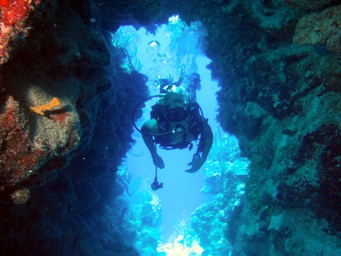 scuba diving in belize reef swim through
