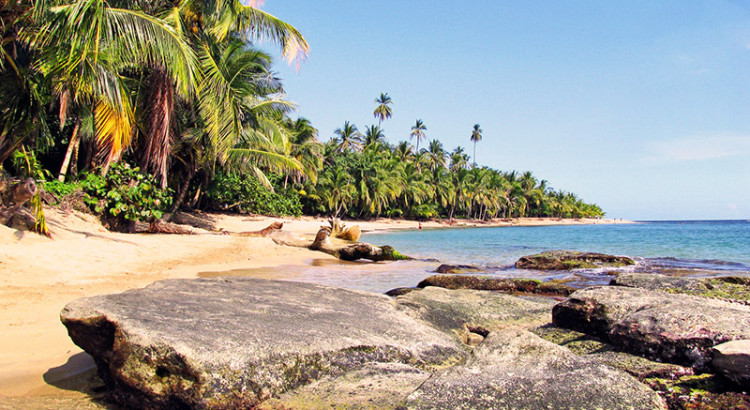 scuba diving in costa rica beach