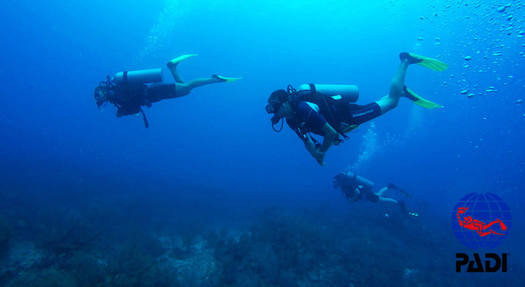 padi certified scuba divers